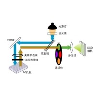 什么是熒光定量PCR、數字PCR？
