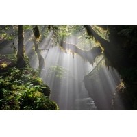 光的干涉、衍射、折射、反射、散射